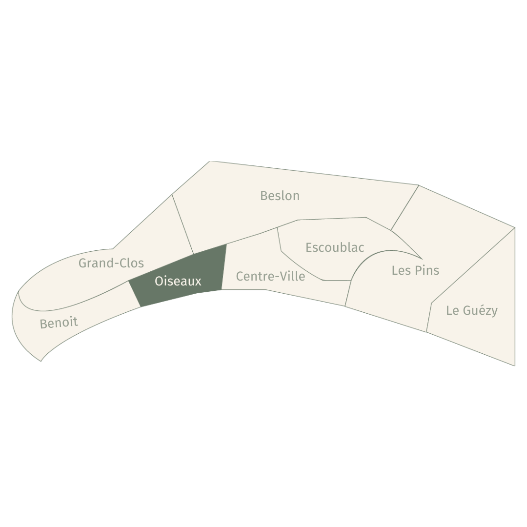 La Baule - oiseaux