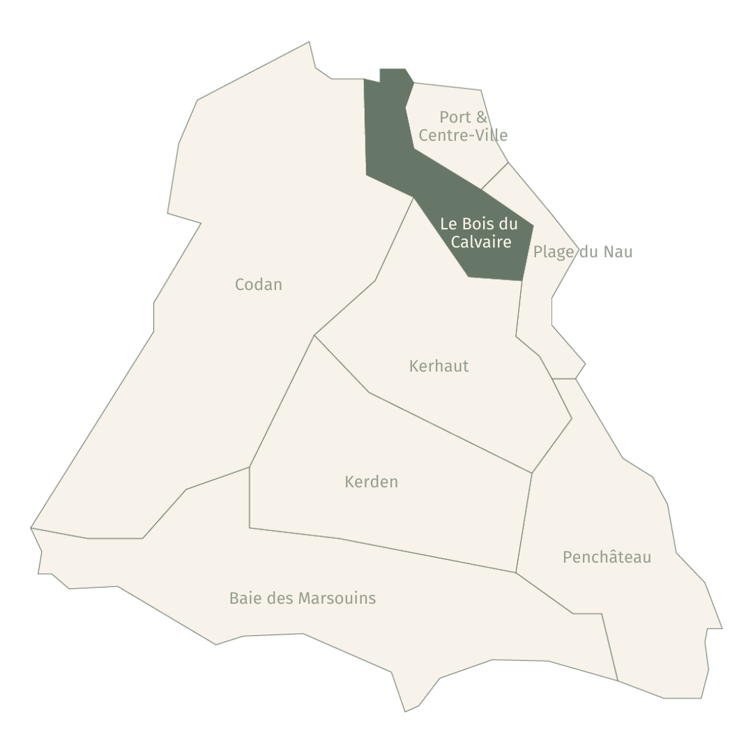 POULIGUEN Le Bois du Calvaire