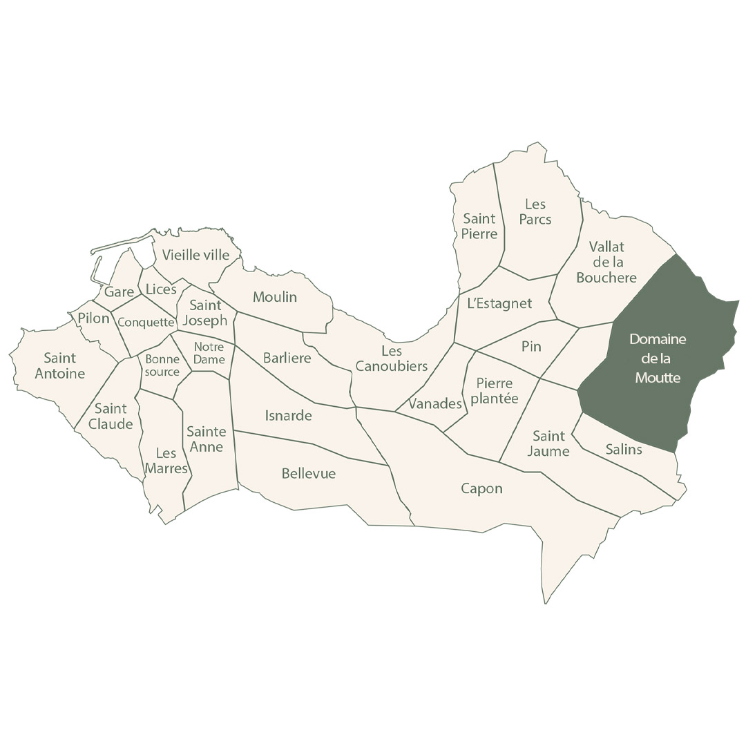 carte la moutte
